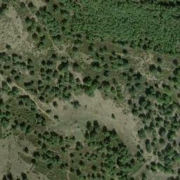 Satellite imagery of survey_point, DZ