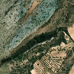 Satellite imagery of survey_point, DZ