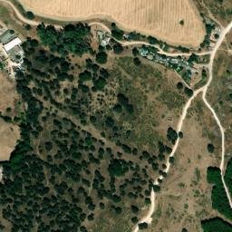 Satellite imagery of survey_point, DZ