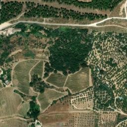 Satellite imagery of survey_point, DZ