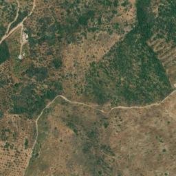 Satellite imagery of survey_point, DZ