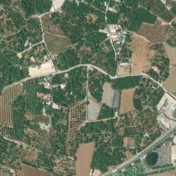 Satellite imagery of survey_point, DZ