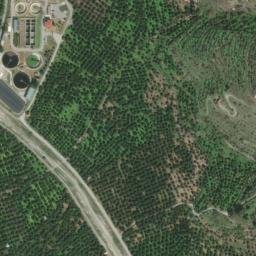 Satellite imagery of survey_point, DZ