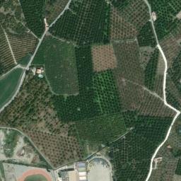 Satellite imagery of survey_point, DZ