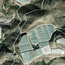 Satellite imagery of survey_point, DZ