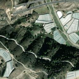 Satellite imagery of survey_point, DZ