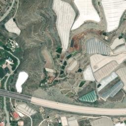 Satellite imagery of survey_point, DZ