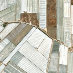 Satellite imagery of survey_point, DZ
