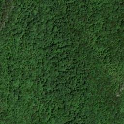 Satellite imagery of Wolf Ridge, US