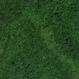 Satellite imagery of Wolf Ridge, US
