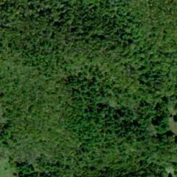 Satellite imagery of Brushy Spur, US