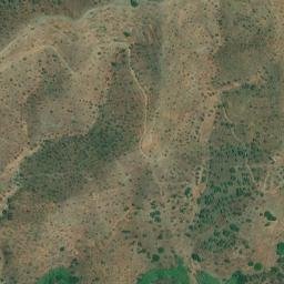 Satellite imagery of survey_point, DZ