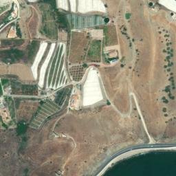 Satellite imagery of survey_point, DZ