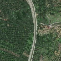 Satellite imagery of survey_point, DZ
