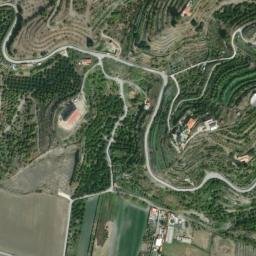 Satellite imagery of survey_point, DZ