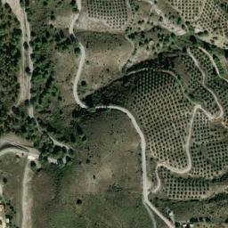 Satellite imagery of survey_point, DZ