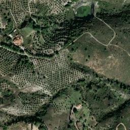 Satellite imagery of survey_point, DZ