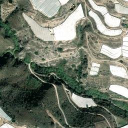 Satellite imagery of survey_point, DZ
