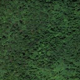 Satellite imagery of Cloyd Ridge, US