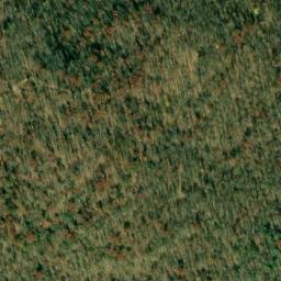 Satellite imagery of Little Cliff, US