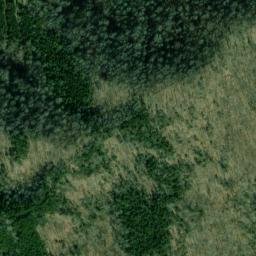 Satellite imagery of Cedar Ridge, US