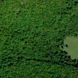 Satellite imagery of Brushy Spur, US