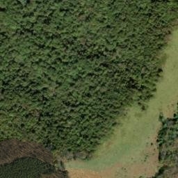 Satellite imagery of Turnip Patch Ridge, US