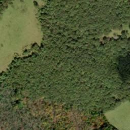 Satellite imagery of Turnip Patch Ridge, US