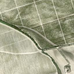 Satellite imagery of survey_point, DZ