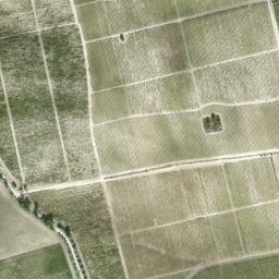 Satellite imagery of survey_point, DZ