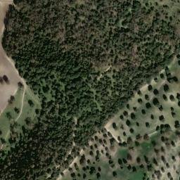 Satellite imagery of survey_point, DZ