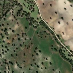 Satellite imagery of survey_point, DZ