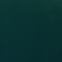 Satellite imagery of survey_point, DZ
