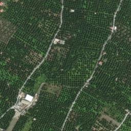 Satellite imagery of survey_point, DZ