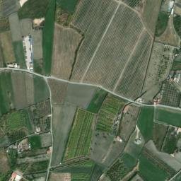 Satellite imagery of survey_point, DZ