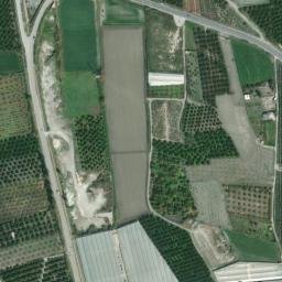 Satellite imagery of survey_point, DZ