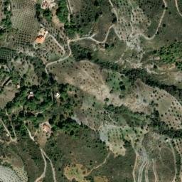 Satellite imagery of survey_point, DZ