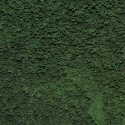 Satellite imagery of Tooley Ridge, US