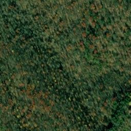 Satellite imagery of Little Cliff, US