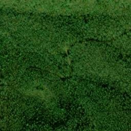 Satellite imagery of Green Ridge, US