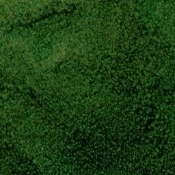 Satellite imagery of Green Ridge, US