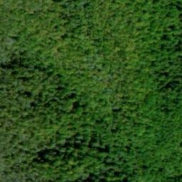 Satellite imagery of Brushy Spur, US