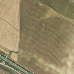 Satellite imagery of survey_point, DZ