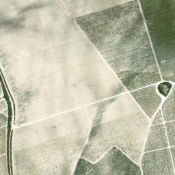 Satellite imagery of survey_point, DZ