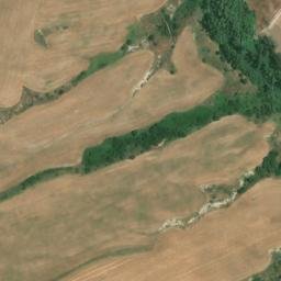 Satellite imagery of survey_point, DZ