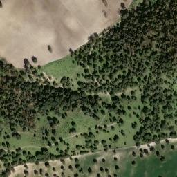 Satellite imagery of survey_point, DZ