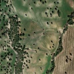Satellite imagery of survey_point, DZ