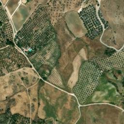 Satellite imagery of survey_point, DZ
