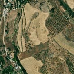 Satellite imagery of survey_point, DZ