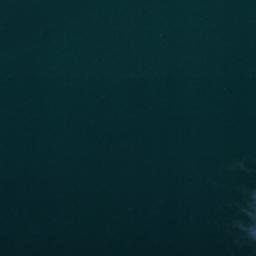 Satellite imagery of survey_point, DZ